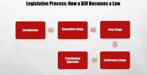 The Legislative Process